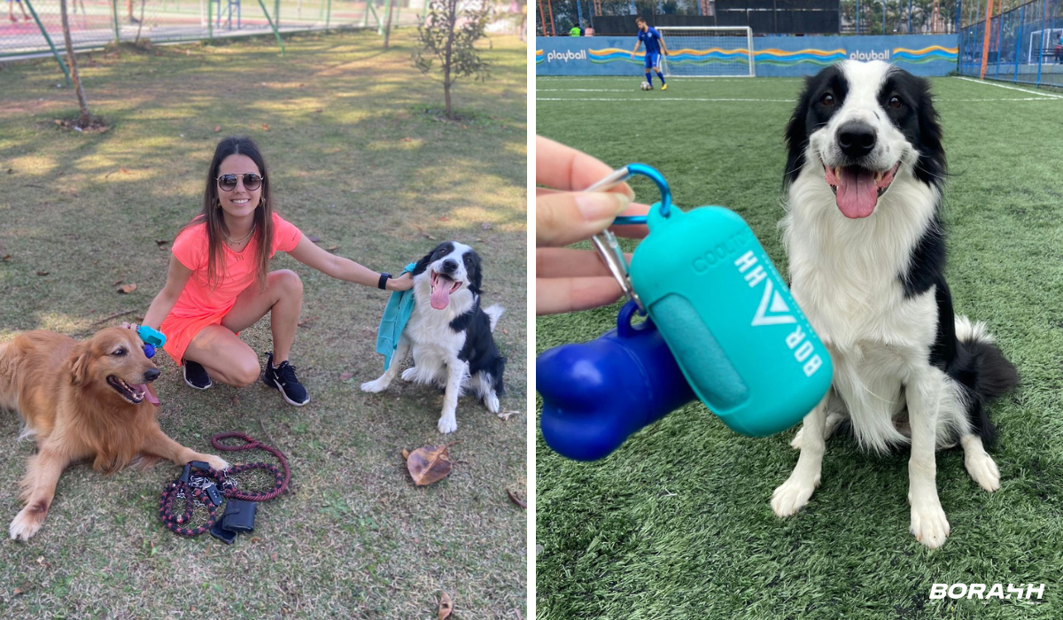 borahh toalha inteligente cães passeios caminhadas